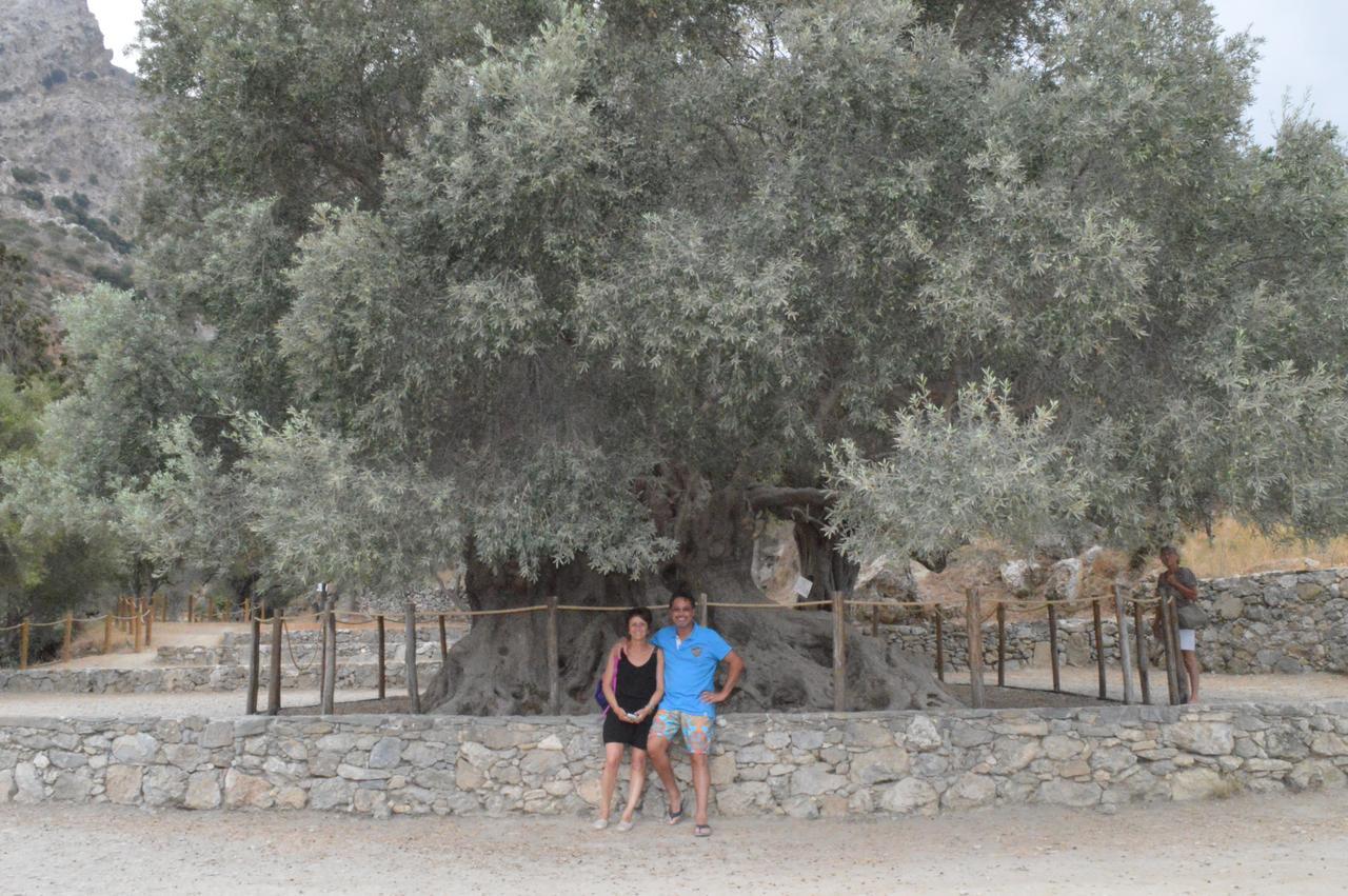 Tholos Rooms Kavousi  Ngoại thất bức ảnh
